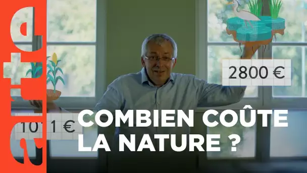 Et si la nature avait un prix ? | 42, la réponse à presque tout | ARTE