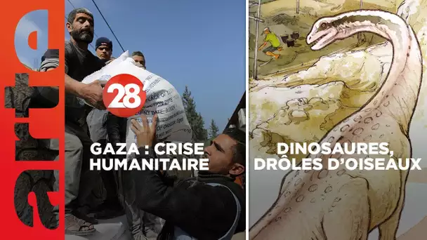 Chasseurs de dinosaures / Gaza : comment stopper la catastrophe humanitaire ? - 28 Minutes - ARTE