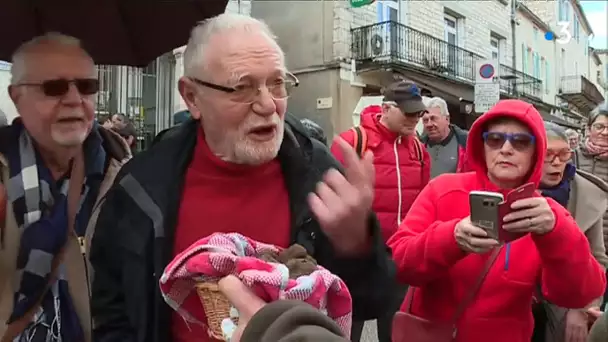 Truffes de Lalbenque : un cru 2017-2018 record