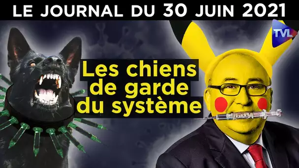 Vaccin : Les nouveaux chiens de garde - Le Journal du mercredi 30 juin 2021