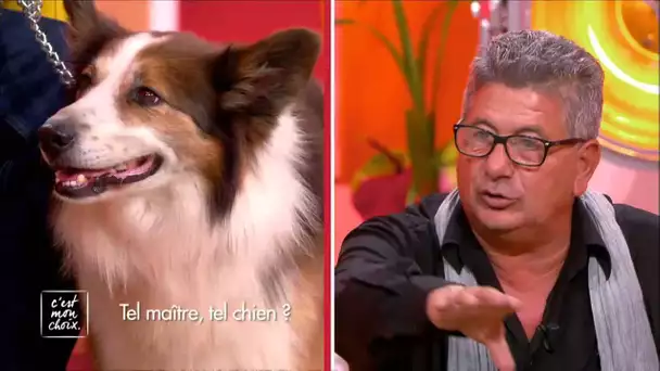 C’est mon choix : Tel maître, tel chien ?