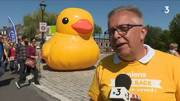 La 3e Duck Race d&#039;Amiens, comme un canard dans l&#039;eau