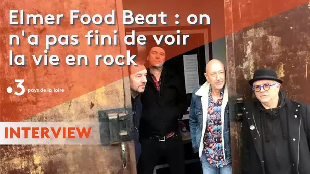 INTERVIEW. Le Disque d'or d'Elmer Food Beat : on n'a pas fini de voir la vie en rock