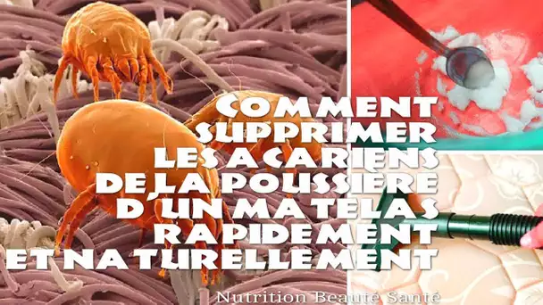 Comment supprimer les acariens de la poussière d&#039;un matelas rapidement et naturellement