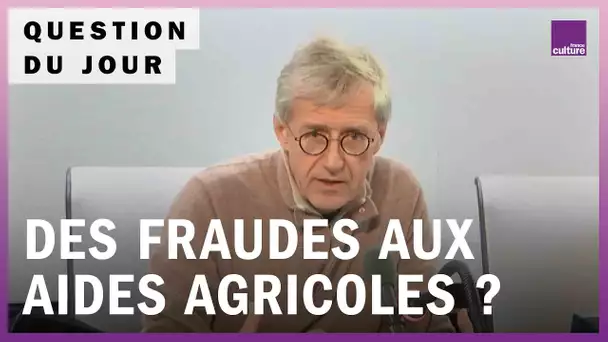 Détournement des aides agricoles européennes : faut-il renforcer les contrôles ?