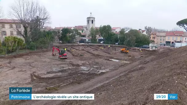 La Farlède : des fouilles mettent au jour la richesse oléicole de la commune