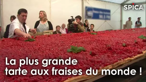 Record du monde de la plus grande tarte aux fraises