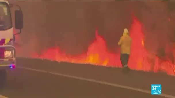 Incendies en Australie : situation "catastrophique" près de Sydney