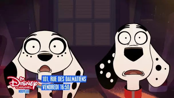 101 rue des Dalmatiens - Vendredi à 16h50 sur Disney Channel !