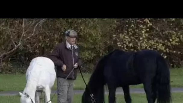 Le poney tombé bien-aimé de la reine vu pour la première fois en public depuis sa .m,ort