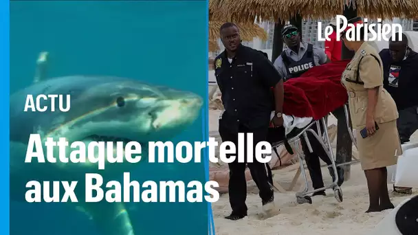 Une touriste de 44 ans tuée par un requin alors qu’elle faisait du paddle aux Bahamas