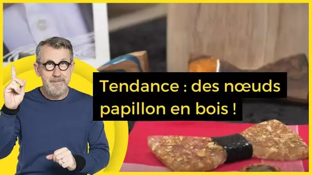 Tendance : des nœuds papillon en bois ! - C Jamy