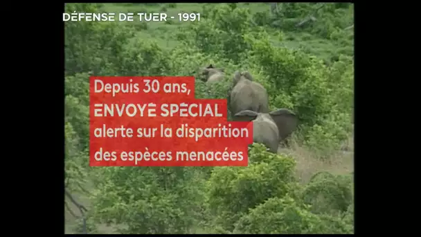 Envoyé spécial. 30 ans d'alerte sur la disparition des espèces - Jeudi 23 janvier 2020 (France 2)