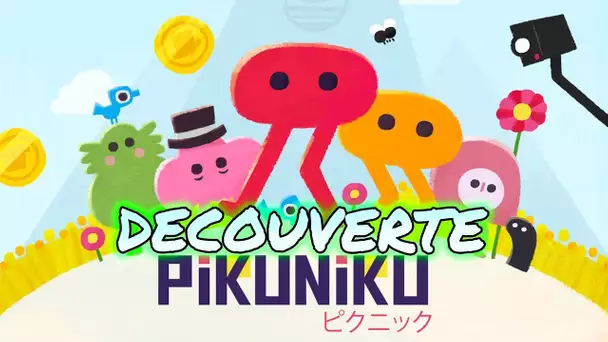 DECOUVERTE - PIKUNIKU