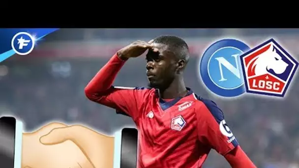 Accord Naples-Lille pour Nicolas Pépé | Revue de presse