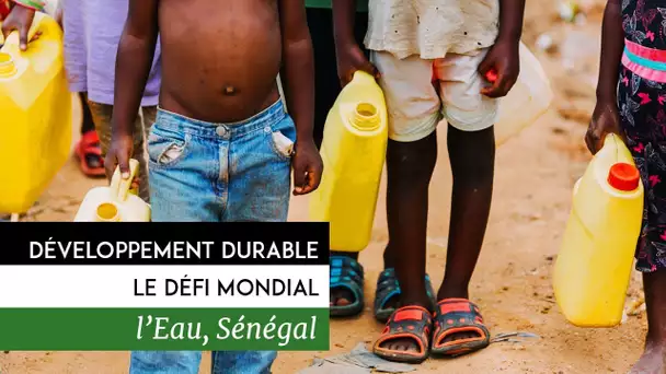 Développement durable, le défi mondial - Sénégal, l&#039;eau