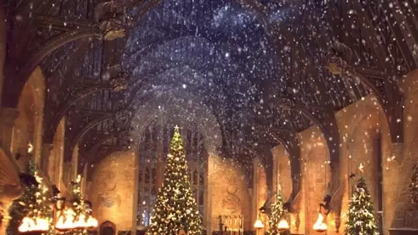 Vivez un Noël comme dans Harry Potter !