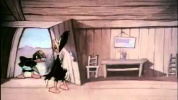Le divorce de Daffy Duck (avec Porky Pig) - Dessin animé