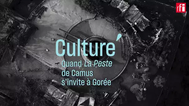 Quand "La Peste" de Camus s'invite à Gorée #CulturePrime
