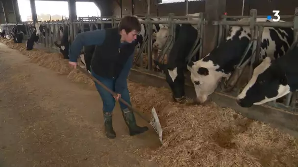 Sarthe / Agriculture : Pas d'antibio pour ses animaux !