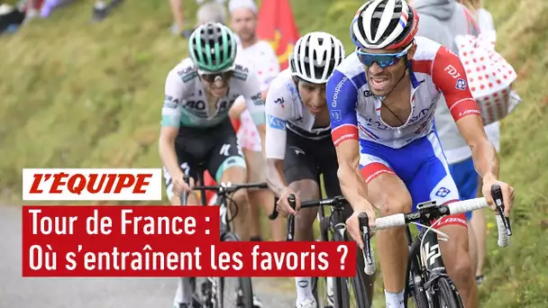 Où s'entraînent les favoris ? - Cyclisme - Tour de France 2020