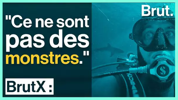 BrutX : Charles Villa tente de comprendre sa peur des requins