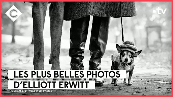 Elliott Erwitt, le photographe qui aboie - L’Oeil de Pierre Lescure - C à Vous - 20/03/2023