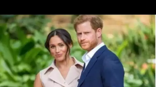 Le prince Harry et Meghan « ne se sentent en sécurité que lorsqu'ils voyagent ensemble » alors que l