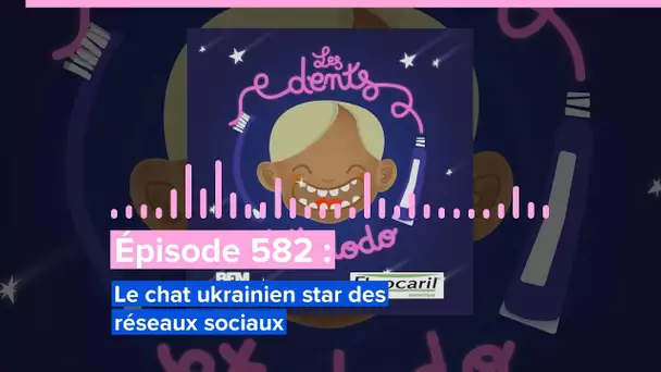 Les dents et dodo - “Épisode 582 : Le chat ukrainien star des réseaux sociaux”