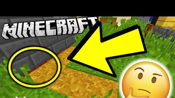 CACHE CACHE MINECRAFT : TROUVE LA TNT CACHEE !