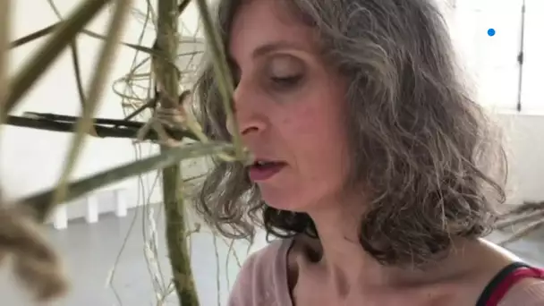 Dans l' Antre de l 'Atelier d Emmanuelle Briat, une artiste ambassadrice de la nature.