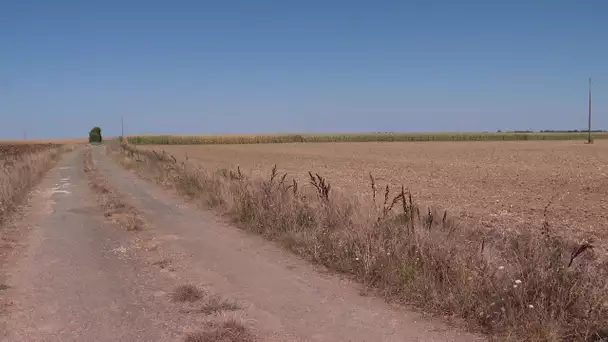 Une centaine d’exploitants agricoles irriguent leurs champs malgré les arrêtés préfectoraux