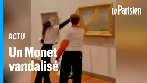 Un tableau de Claude Monet aspergée de soupe par des activistes à Lyon