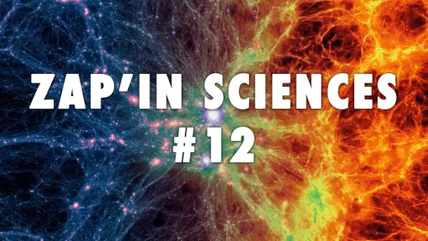 Zap'In Sciences #12 - L'Esprit Sorcier