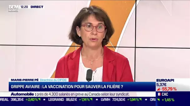 Marie-Pierre Pé (CIFOG) : Grippe aviaire, la vaccination pour sauver la filière ?