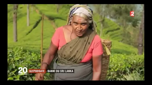 Glyphosate : banni du Sri Lanka