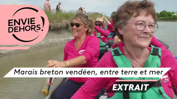 Envie dehors! Sarthe : Marais breton vendéen, entre terre et mer [EXTRAIT]