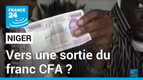 Niger, Mali et Burkina Faso : vers une sortie du franc CFA • FRANCE 24