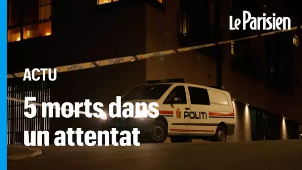 Attaque à l'arc en Norvège : le suspect est un Danois radicalisé