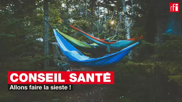 Conseil Santé : allons faire la sieste !