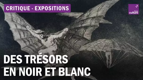 Dürer, Rembrandt, Goya : le Petit Palais expose sa collection d'estampes