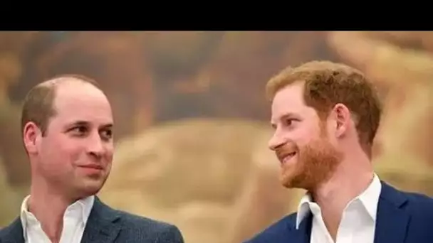 L'assistant royal "complètement décontenancé" par la question de Harry et William lors de l'entretie