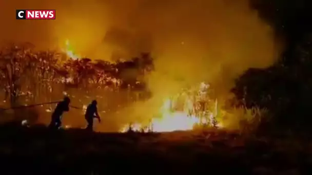 Espagne : un violent incendie ravage l&#039;île de Grande Canarie