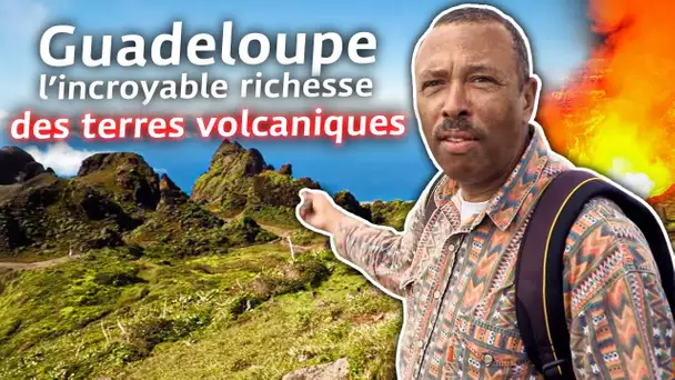 Guadeloupe, l'incroyable richesse des terres volcaniques