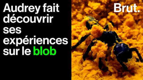 Elle mène des expériences sur le blob