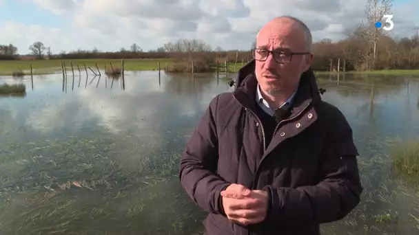 Vendée : la biodiversité du Marais Poitevin sous surveillance