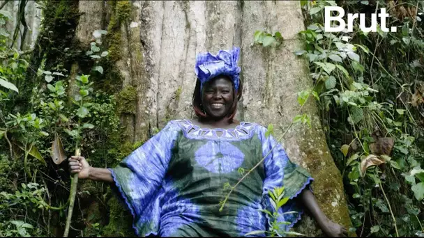 Une vie Wangari Maathai, figure du combat écologiste kenyan.