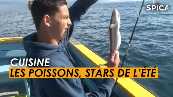 CUISINE : Les poissons stars de l'été !