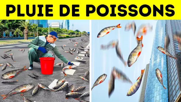 30 phénomènes naturels les plus étranges dont vous ne croirez pas l'existence