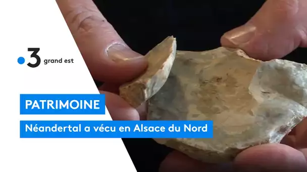 Néandertal a vécu en Alsace du Nord